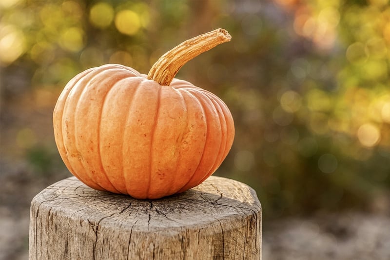 Fall Harvest Planning