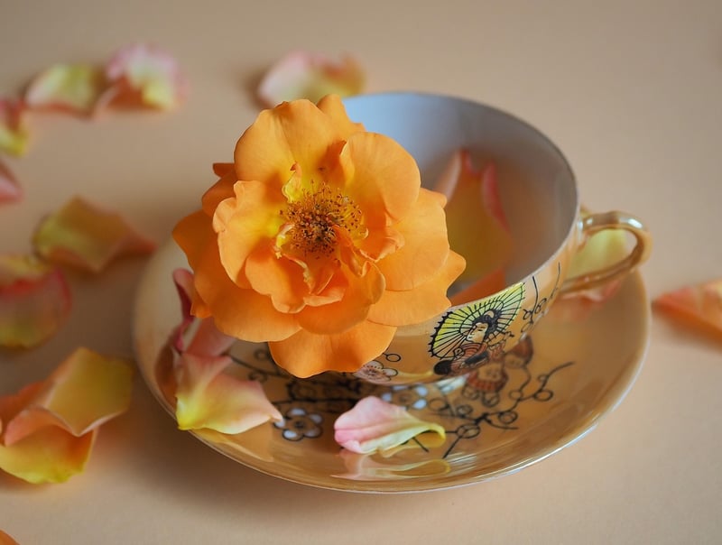 Garden Blooms